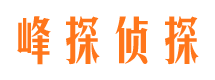 莱城侦探